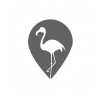 Flamingoappbw-png7frcnfrypzyjdol5pkk7rk23kkzc6qqht4f2ktk