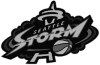 seatle_storm
